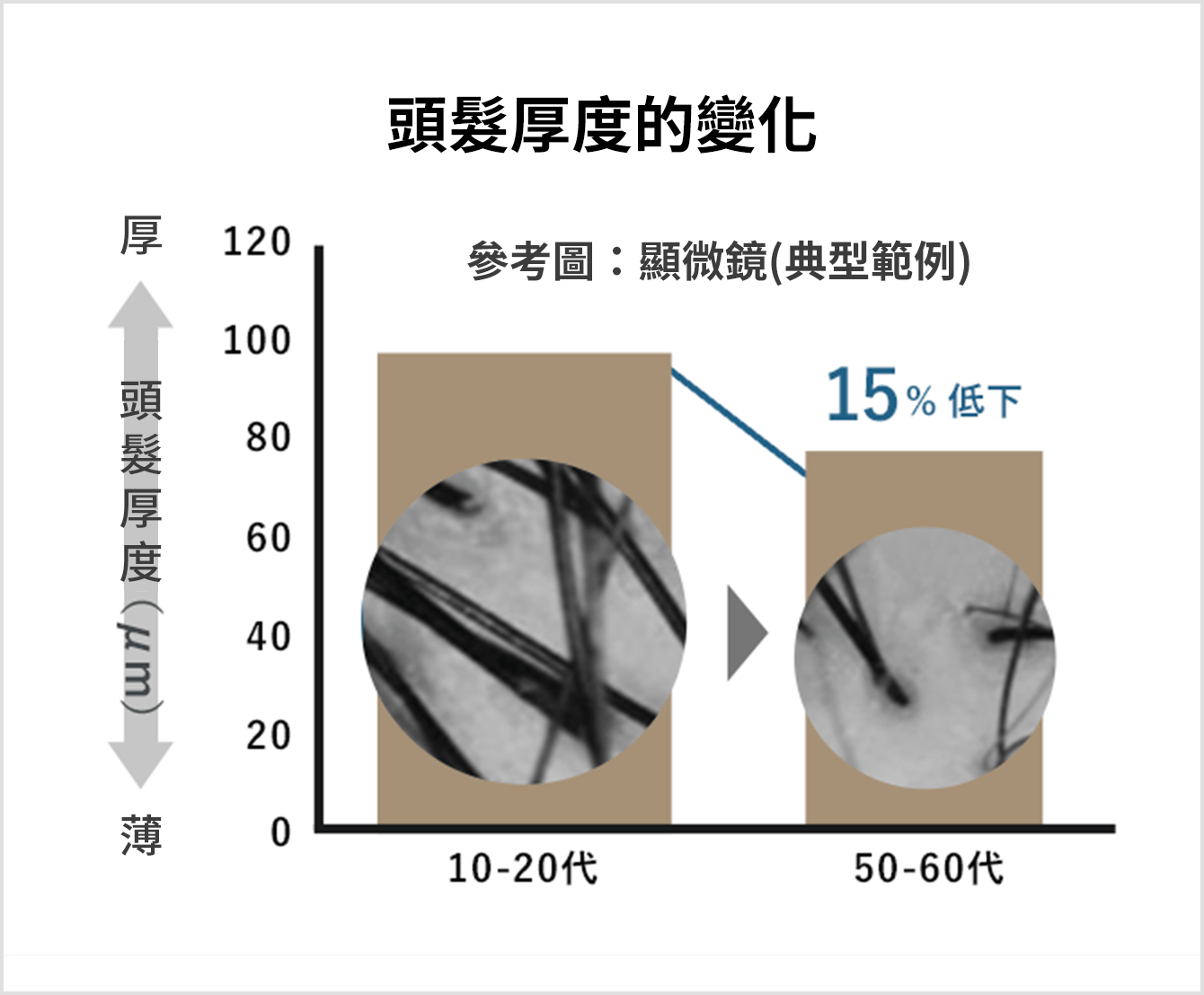 髪の太さの変化