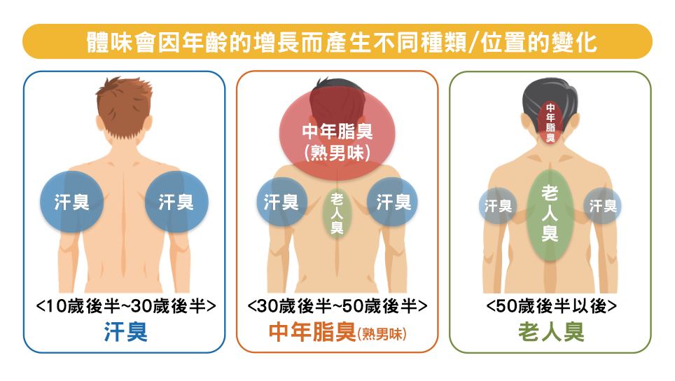 因年齡的產生變化的體味種類與產生部位